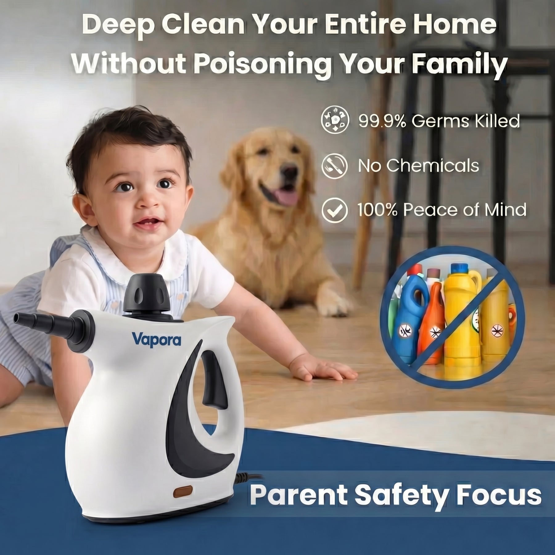 Vapora Steam Cleaner